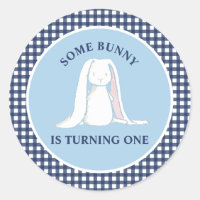 Einige Bunny ist One blue Gingham Birthday