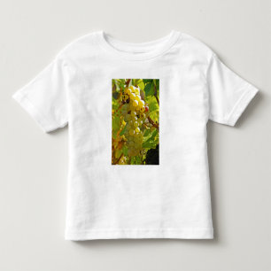 Einige Chasselas im Weinberg - vor langer Zeit gep Kleinkind T-shirt