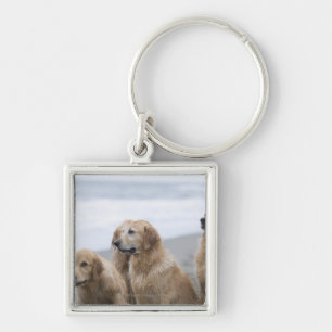 Einige goldene Retriever, die auf Strand sitzen Schlüsselanhänger