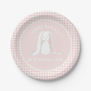 Einige Sonne ist One Pink Gingham Birthday Pappteller