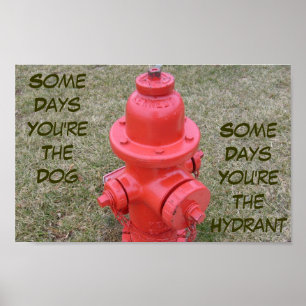 Einige Tage bist du der Hund, einige Tage der Hydr Poster