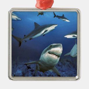 Einkreisende Haifische Ornament Aus Metall