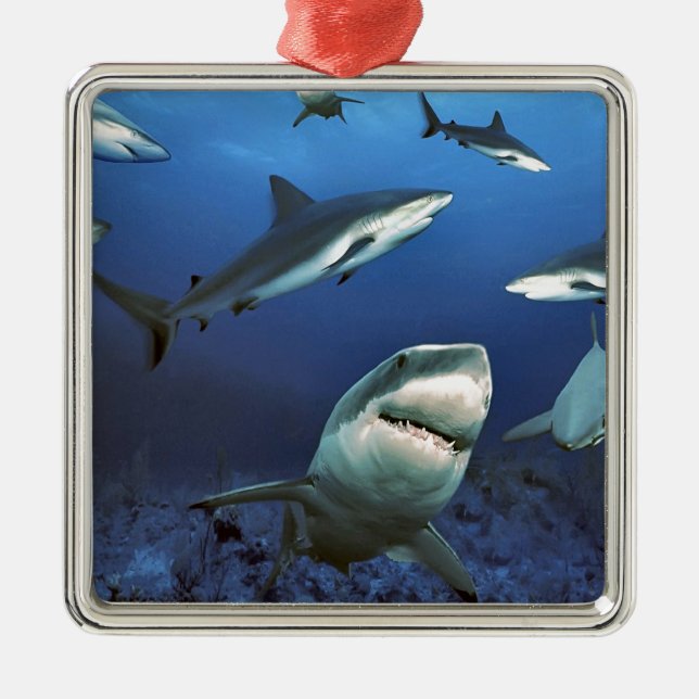 Einkreisende Haifische Ornament Aus Metall (Vorne)