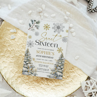 Einladung 16 . Geburtstag Winter zum Geburtstag