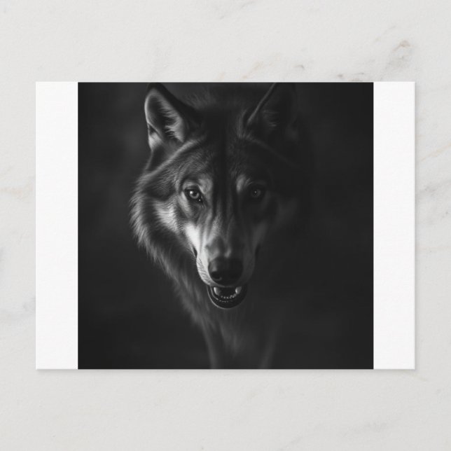 Einladung & Ankündigung  (Vorderseite)