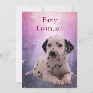 Einladung Dalmatiner im Park