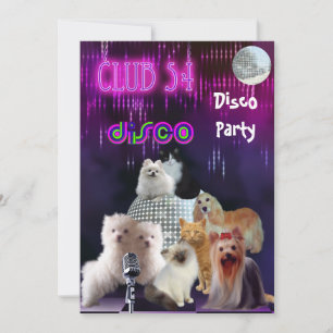 Einladung Damen Nacht Disco Party Hunde Katzen