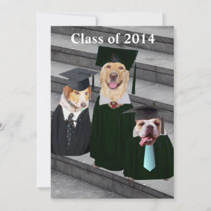 Einladung der Funny Dog Graduation Party