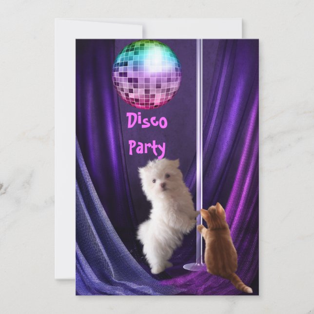 Einladung Disco Party Hunde Katze Maltesische Welp (Vorderseite)