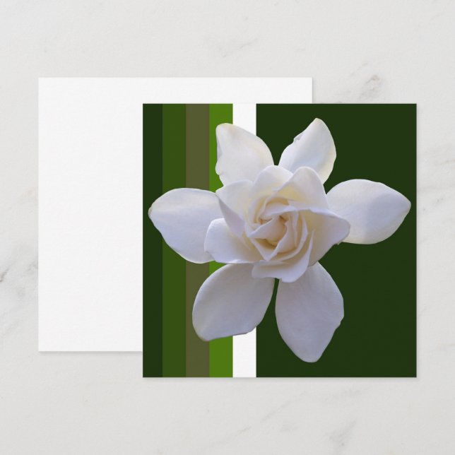 Einladung - Gardenia auf Streifen (Vorne/Hinten)
