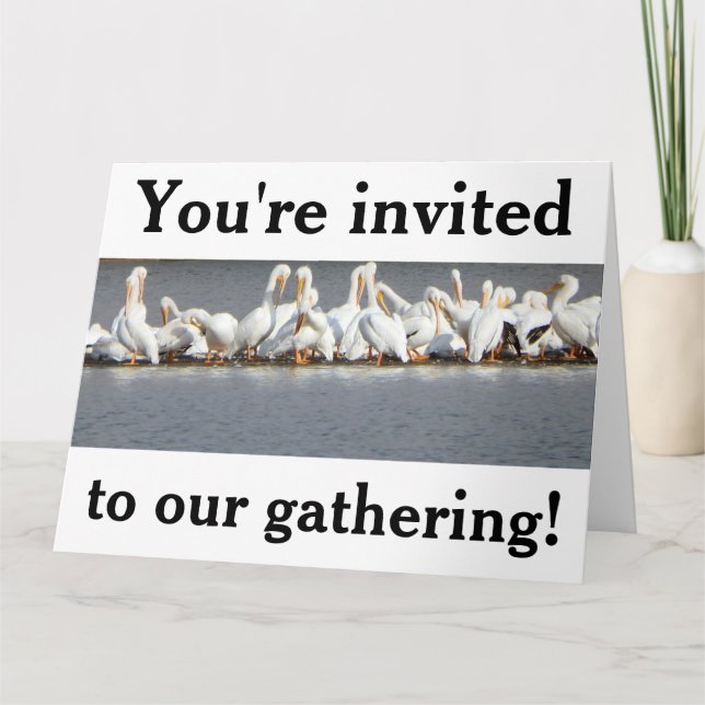 Einladung Grußkarte, Pelikane (Vorderseite)