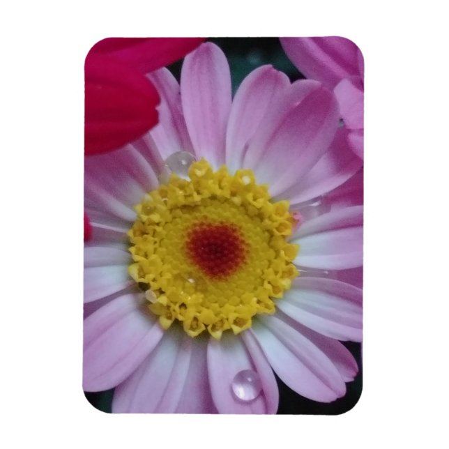 Einladung Magnet (Vertikal)