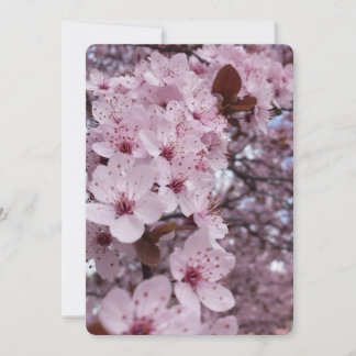 Einladung mit rosa Kirschblüten – Sakura Baum