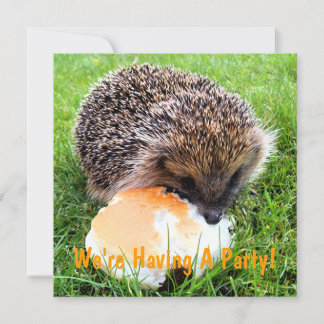 EINLADUNG niedlicher IGEL