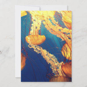 Einladung Postkarte 5" x 7"