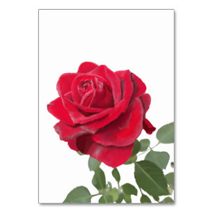 Einladung  Rote Rose - Symbol der Liebe Tischnummer