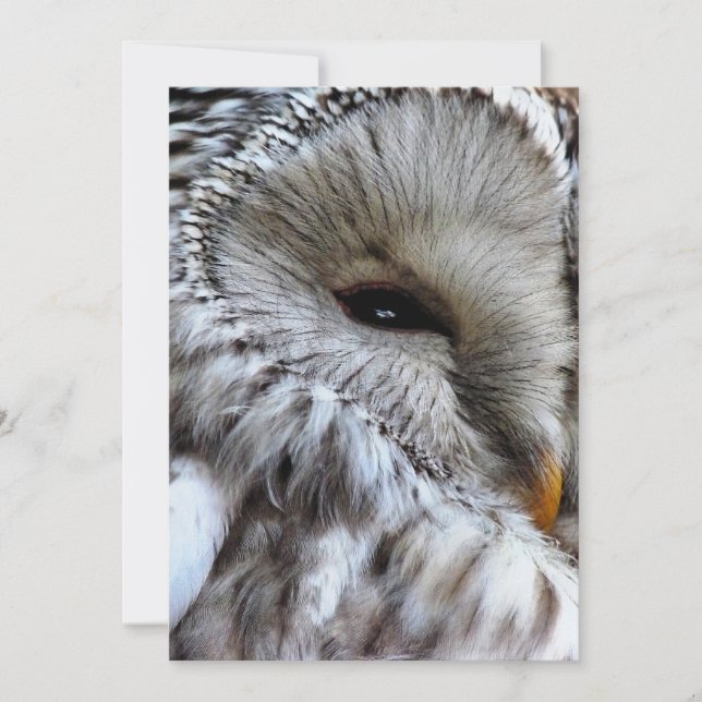 EINLADUNG VON EIGENSCHAFTEN (Vorderseite)