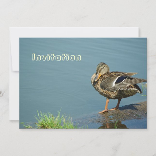 Einladung von Enten (Vorderseite)