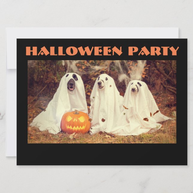 EINLADUNG VON Halloween-Party, HUNDE ALS GHOSTEN (Vorderseite)