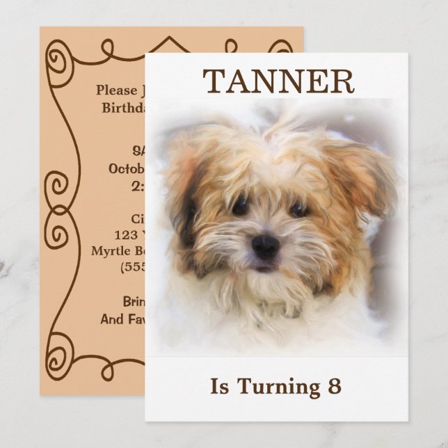 Einladung von Haustieren zum Geburtstag (Vorne/Hinten)