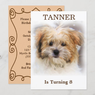 Einladung von Haustieren zum Geburtstag