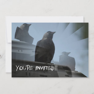 Einladung von Jackdaw Bird