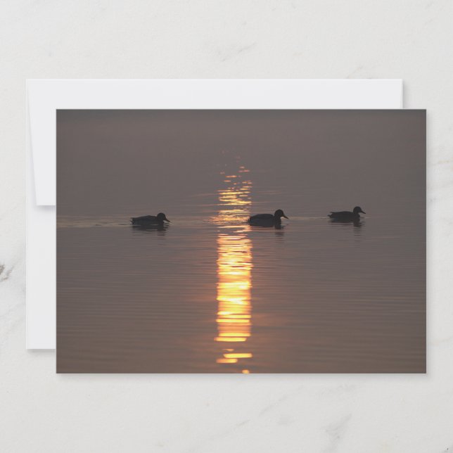 Einladung von Mallards (Vorderseite)