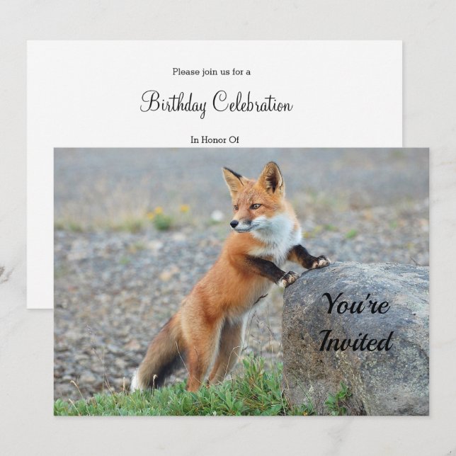 Einladung von stehend Red Fox zum Geburtstag (Vorne/Hinten)