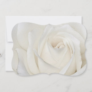 Einladung von White Rose 12x18