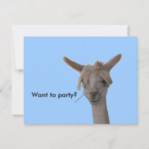 Einladung - Woll zum Party?
