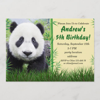 Einladung zu Panda zum Geburtstag