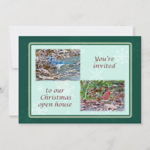 Einladung zu Weihnachten Birds Open House