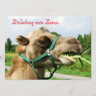 Einladung zum Essen