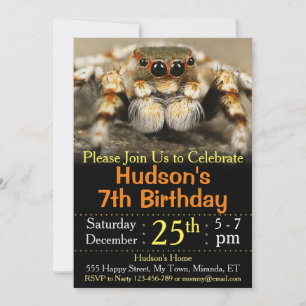Einladung zum Geburtstag der Spinne