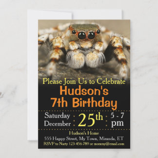 Einladung zum Geburtstag der Spinne