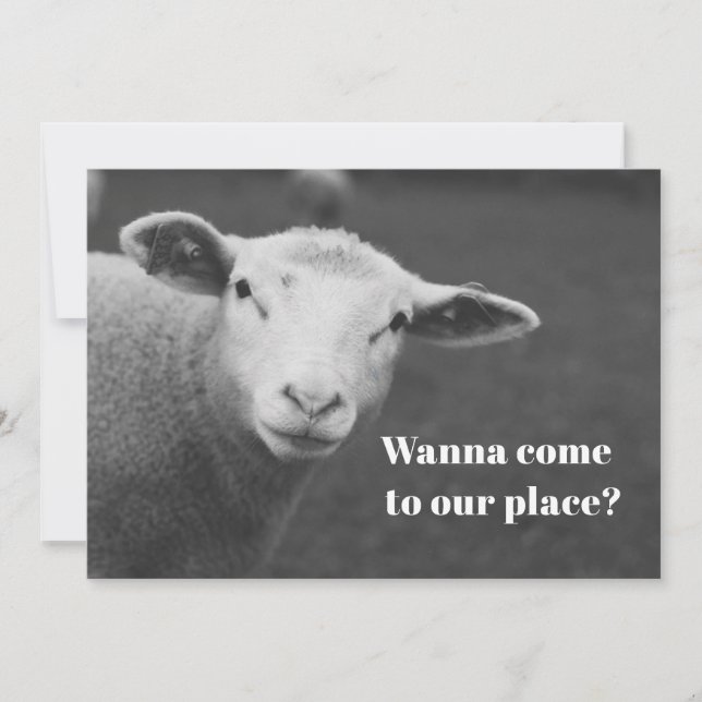 Einladung zum niedlichen Pessach (Vorderseite)