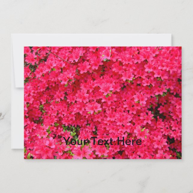 Einladung zur Blume Red Azalea (Vorderseite)