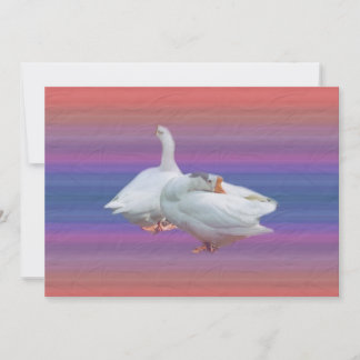 Einladung zur Geburtstagsfeier