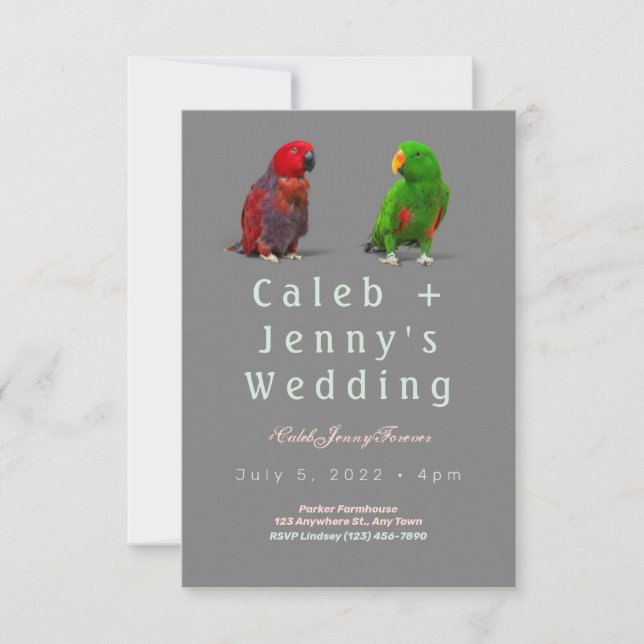 Einladung zur Hochzeit niedlicher Vögel (Vorderseite)