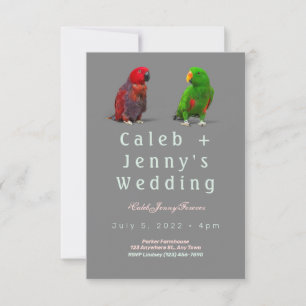 Einladung zur Hochzeit niedlicher Vögel