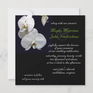 Einladung zur Hochzeit von Weißem Orchid 5.25x5.25