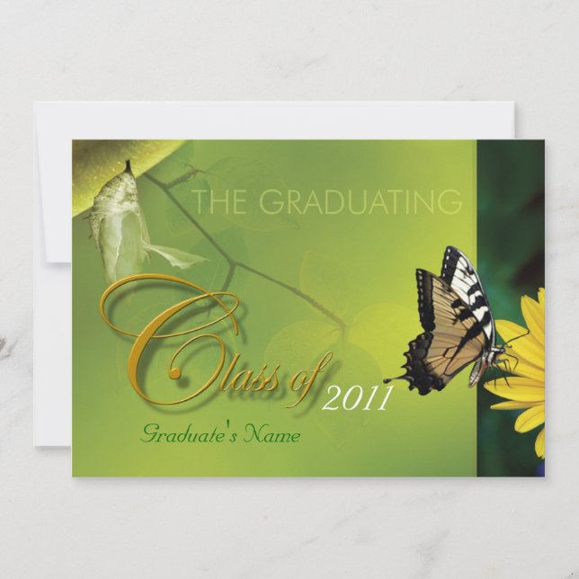 Einladung zur Metamorphose (Vorderseite)