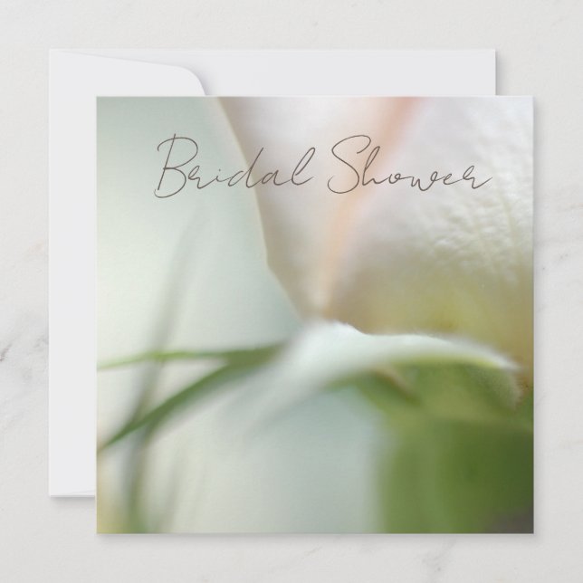 Einladung zur sanften Rose (Vorderseite)