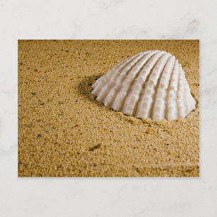 Einladung zur Strandhochzeit in tropischer UAWG