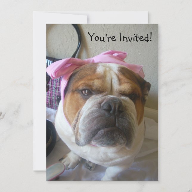 Einladungen Englisch Bulldog Geburtstag oder irgen (Vorderseite)