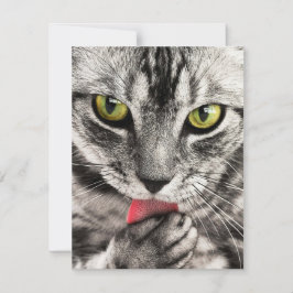 Einladungen Stationery Greeting Cards Holida