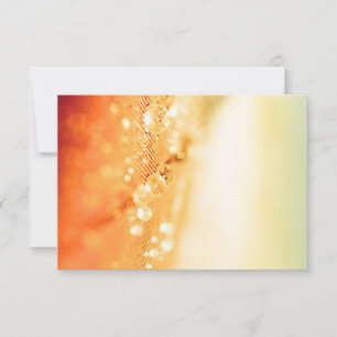 Einladungen und Stationery-RSVP-Karten