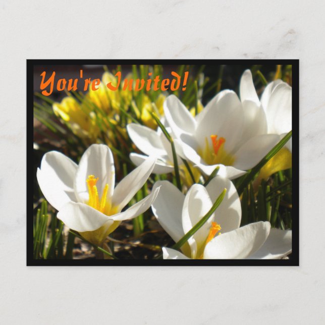 Einladungen zur Postkarte vom Frühjahr (Vorderseite)
