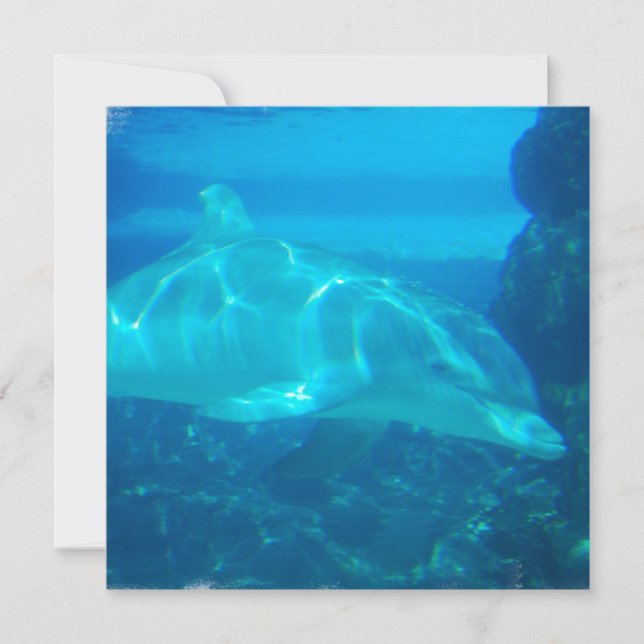 Einladungen zur Unterwasser-Delphin (Vorderseite)