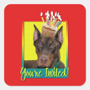 Einladungs-kleiner Kuchen - Dobermann - Rot - Quadratischer Aufkleber